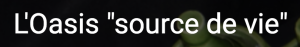 image Capture_decran_20190804_a_224922.png (86.3kB)
Lien vers: https://desert-permaculture-chezmadani.com/