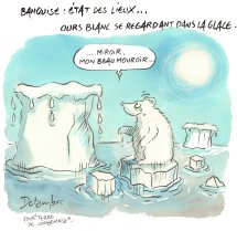 image DelambreCanard01BanquiseEtat_des_lieuxM.jpg (1.2MB)